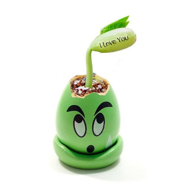 Kouzelná fazolka s nápisem „I love you“